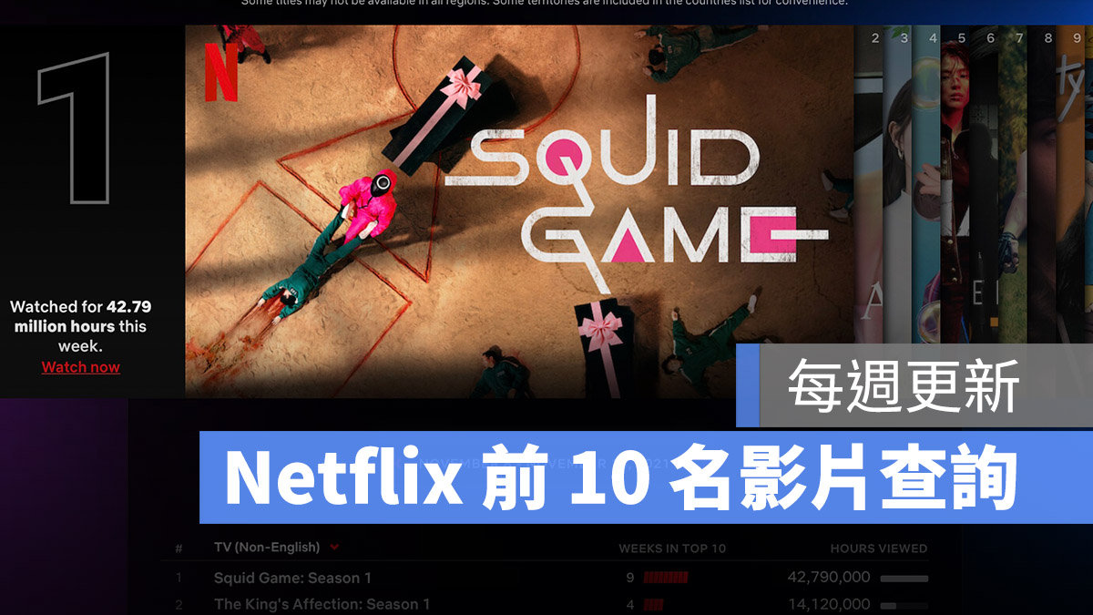 Netflix 前 10 排名網站