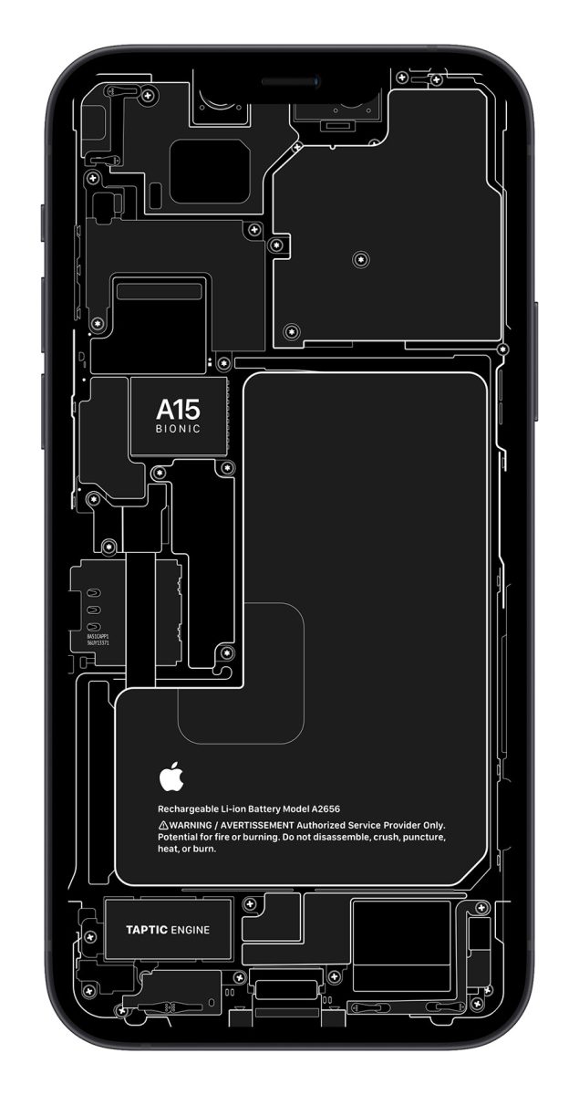 iPhone 13 X 光桌布