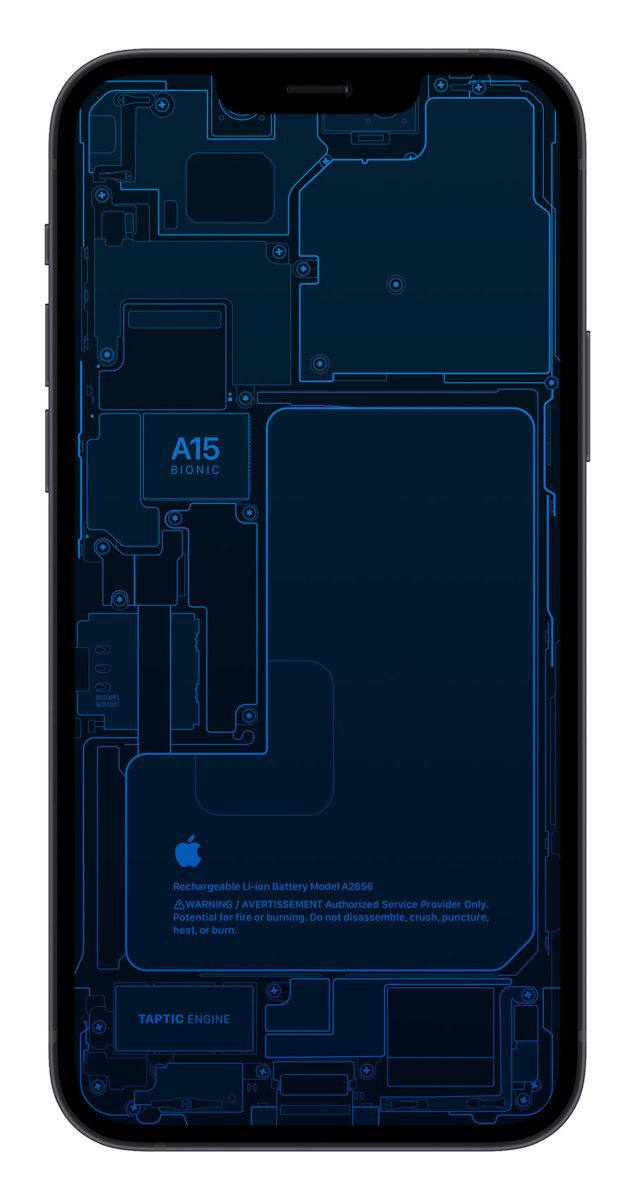iPhone 13 X 光桌布