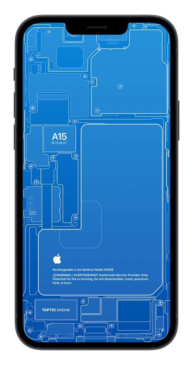 iPhone 13 X 光桌布
