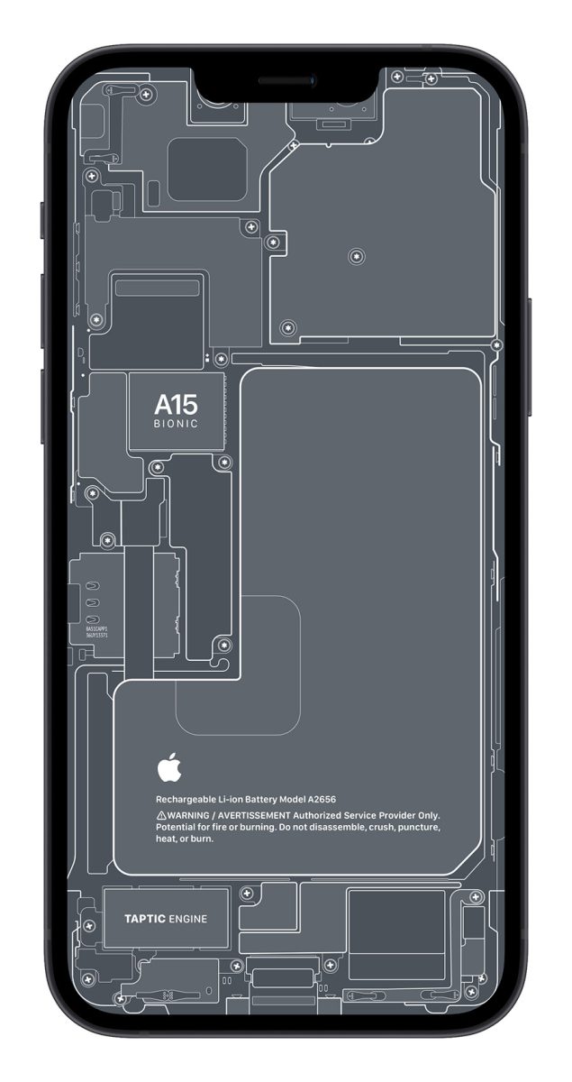 iPhone 13 X 光桌布