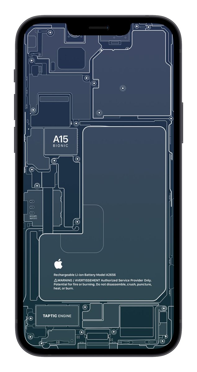 iPhone 13 X 光桌布