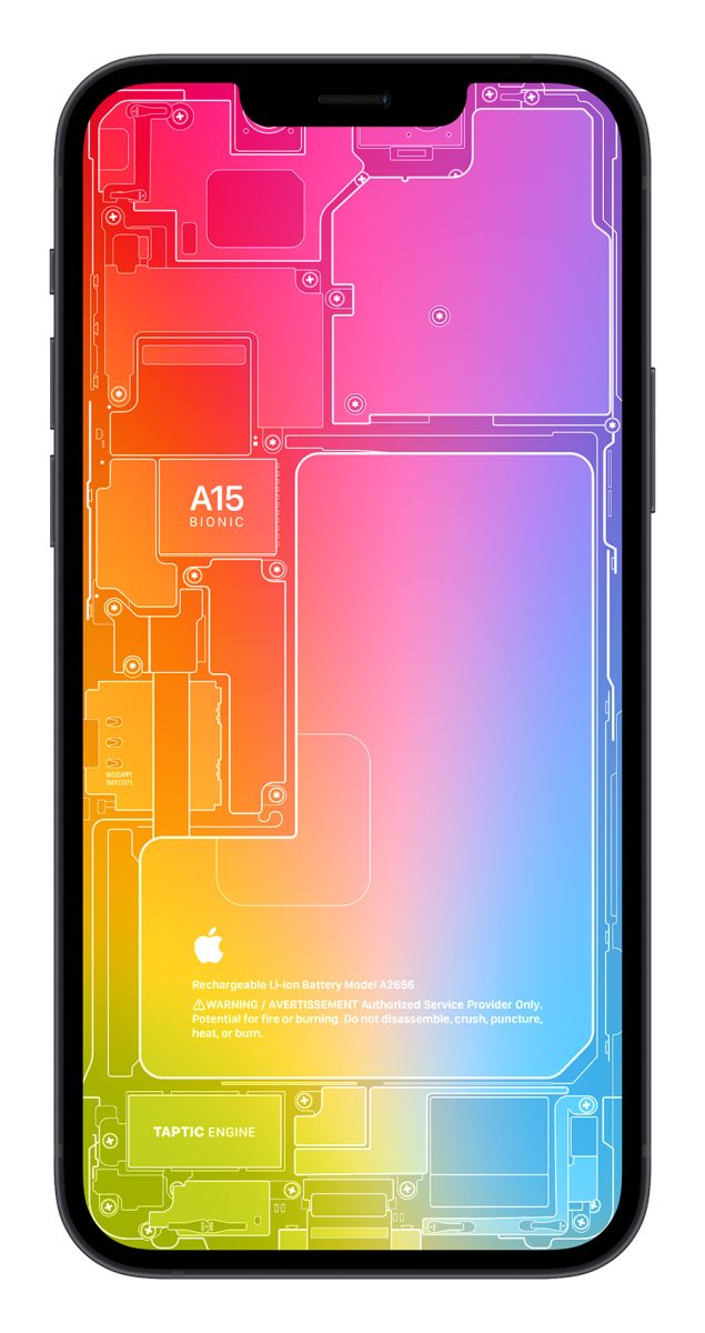 iPhone 13 X 光桌布