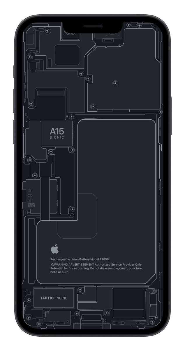 iPhone 13 X 光桌布