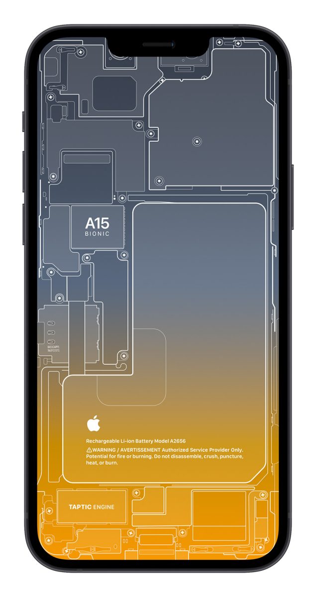 iPhone 13 X 光桌布