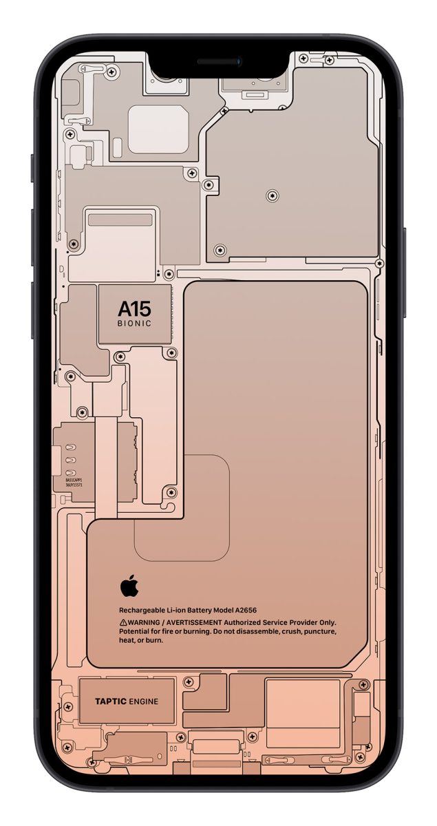 iPhone 13 X 光桌布