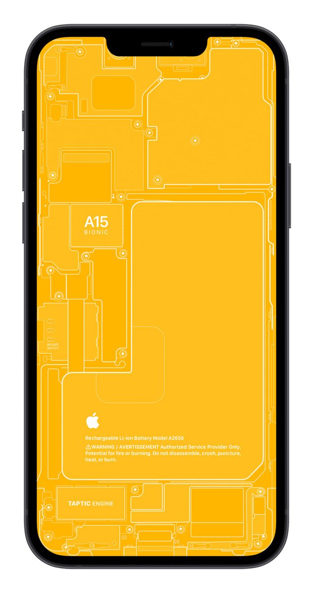 iPhone 13 X 光桌布