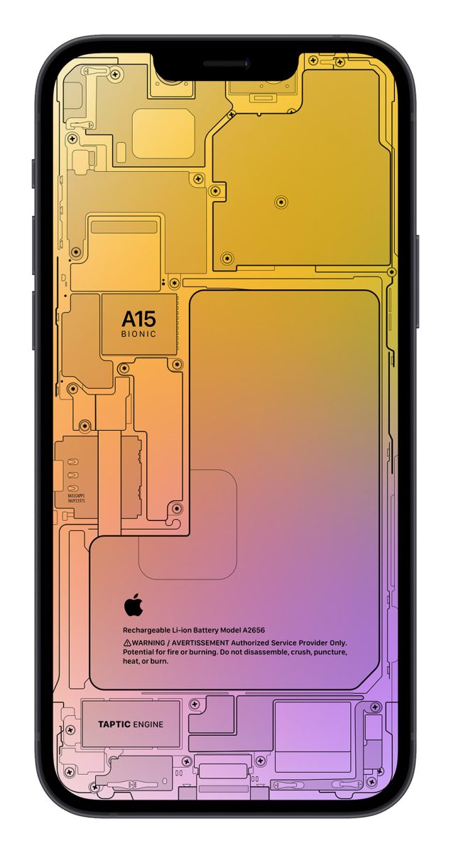 iPhone 13 X 光桌布