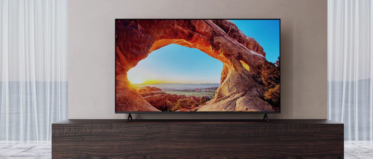 Sony BRAVIA Disney+ Netflix