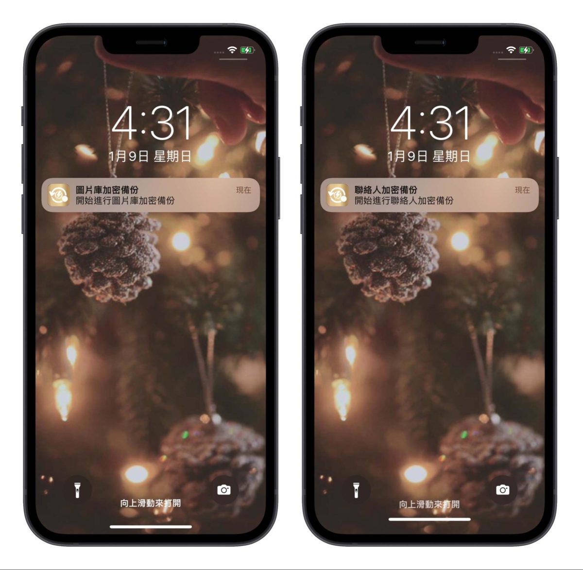 MemCatcher Pro 回憶捕手