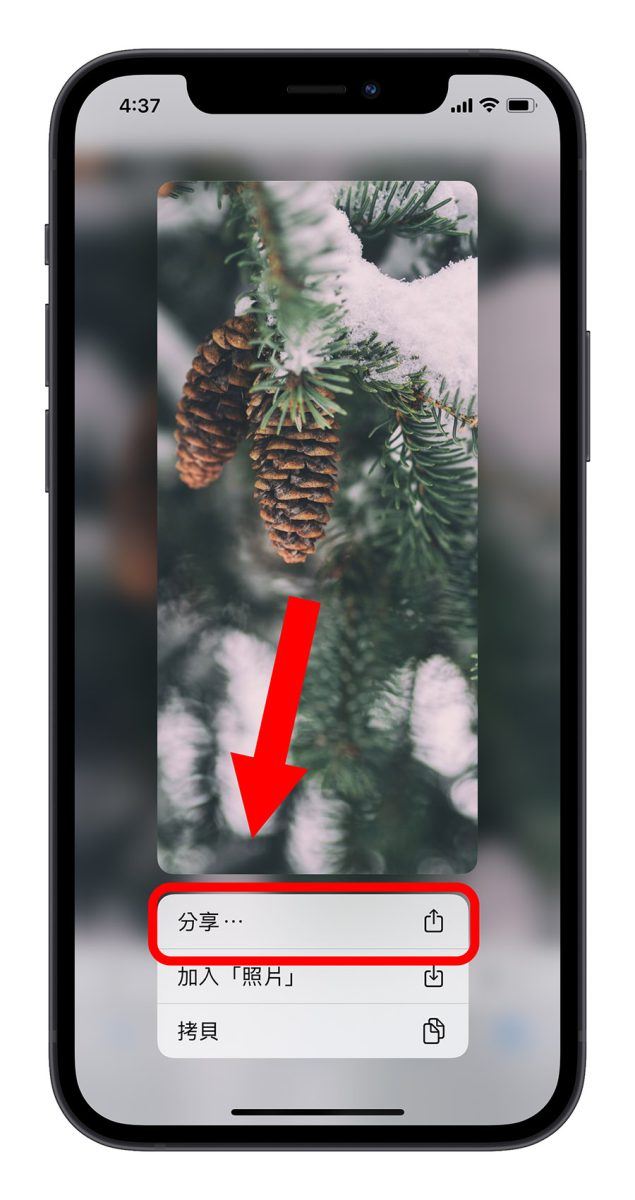 iPhone 一鍵換桌布 捷徑腳本
