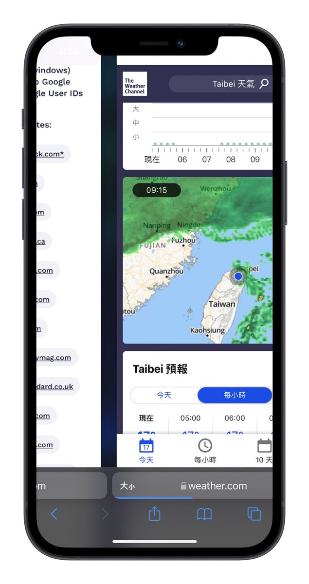 Safari 漏洞 Bug 跨網站追蹤
