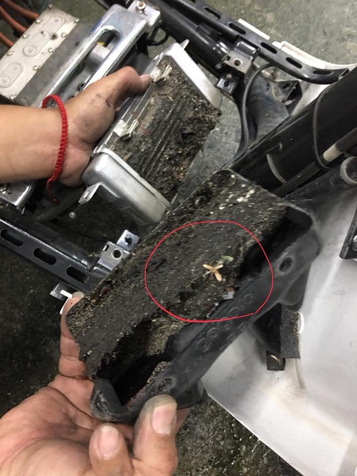 Gogoro 進氣口護網 導風罩
