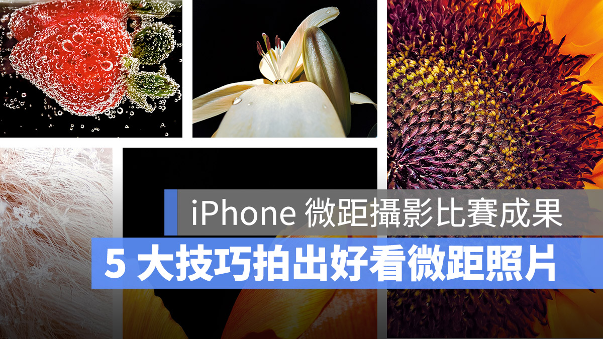 微距攝影 iPhone 13 Pro 拍照技巧