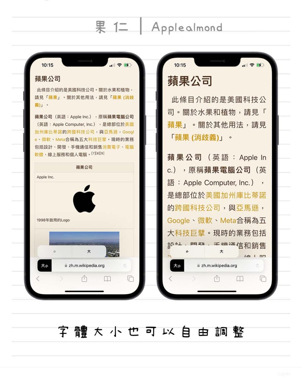 Safari 閱讀器 閱讀模式