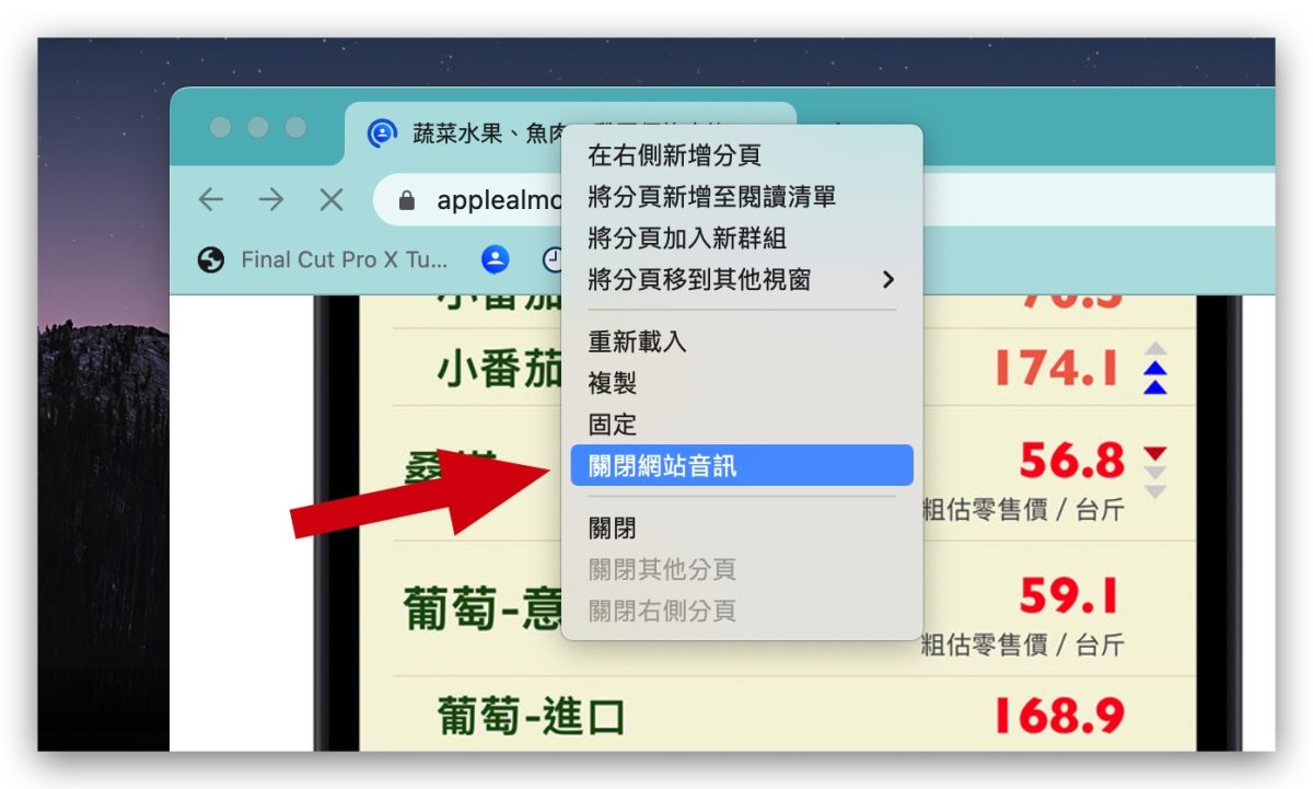 Google Chrome 技巧 關閉聲音