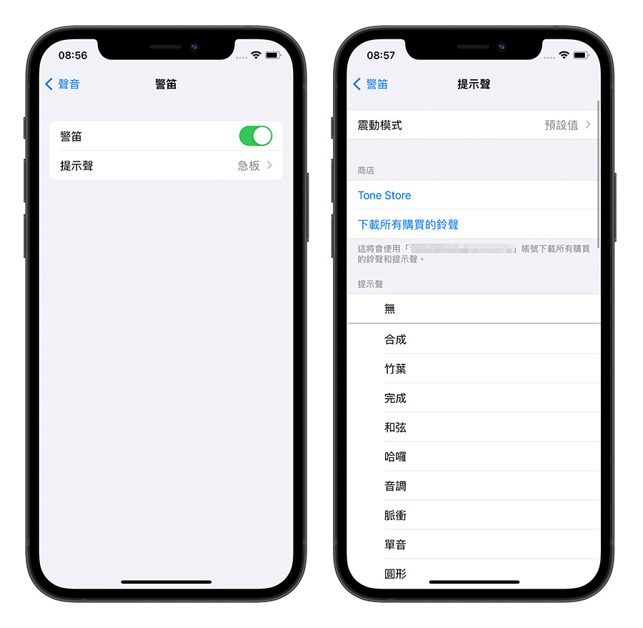 iPhone 聲音辨識