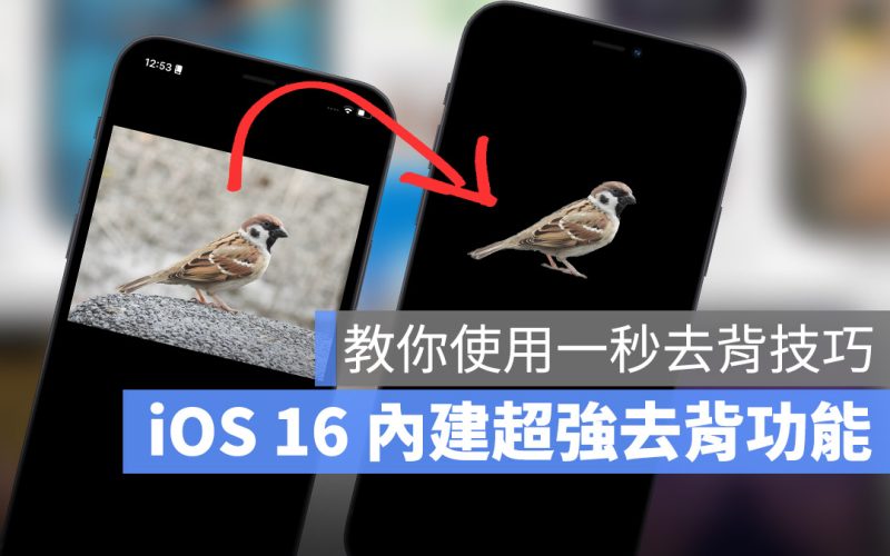 iOS 16 「拷貝主體」去背功能超強！教你使用內建技巧一秒去背