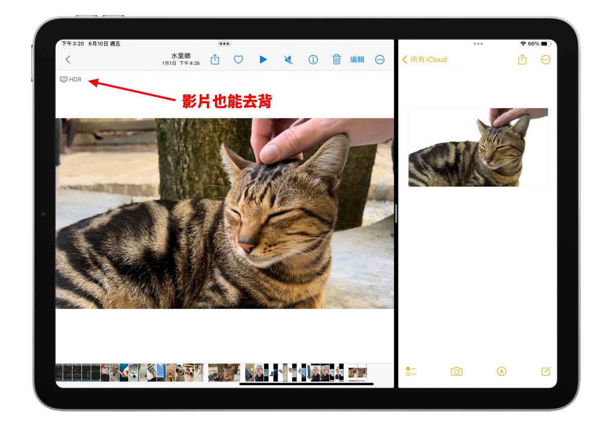 WWDC 2022 WWDC iPadOS iPadOS 16 去背 拷貝主體