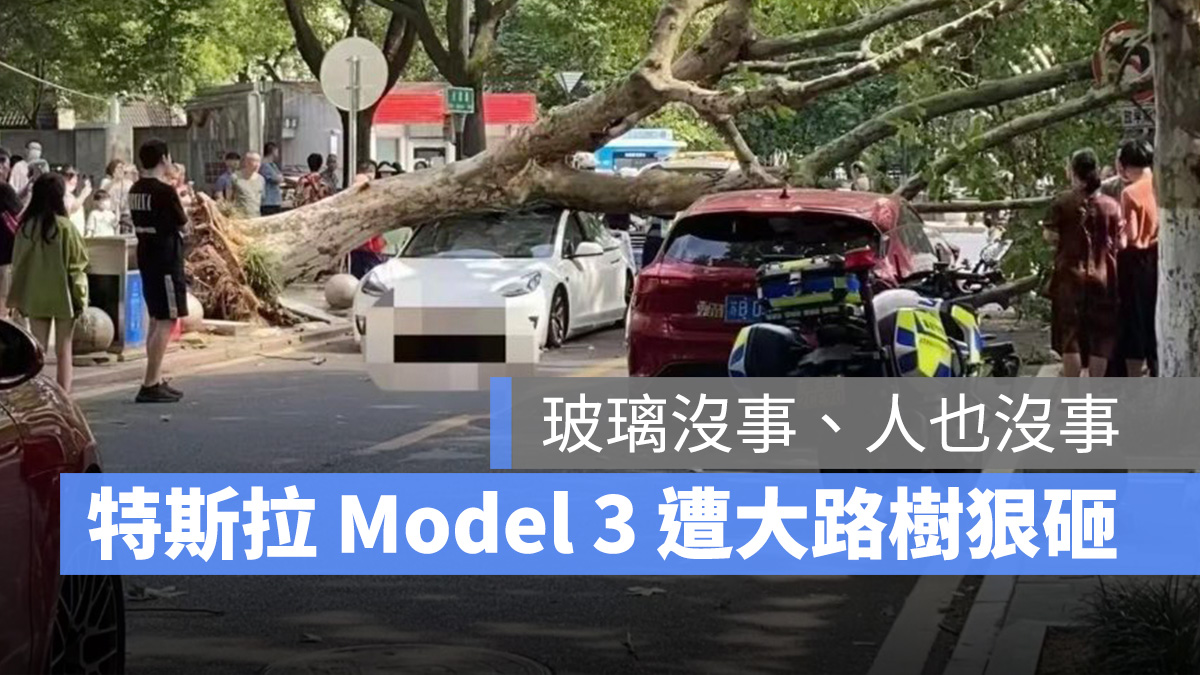 特斯拉 Tesla Model 3