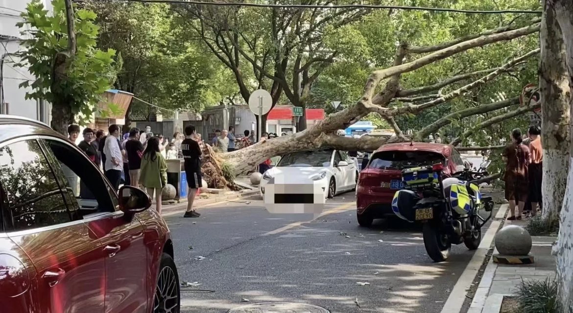 特斯拉 Tesla Model 3 