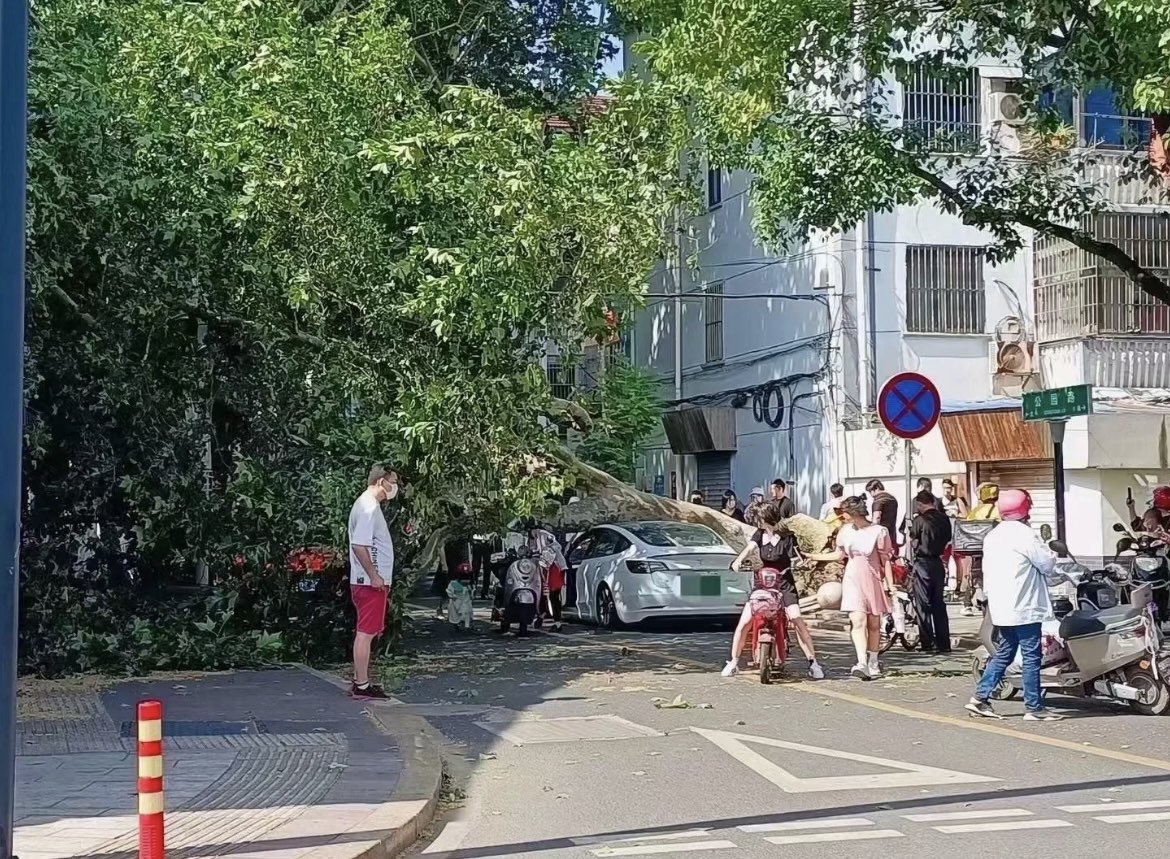 特斯拉 Tesla Model 3 