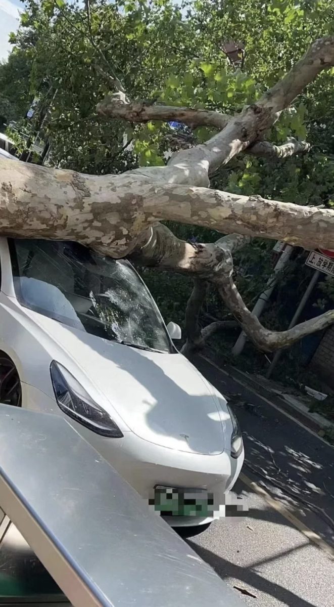 特斯拉 Tesla Model 3 