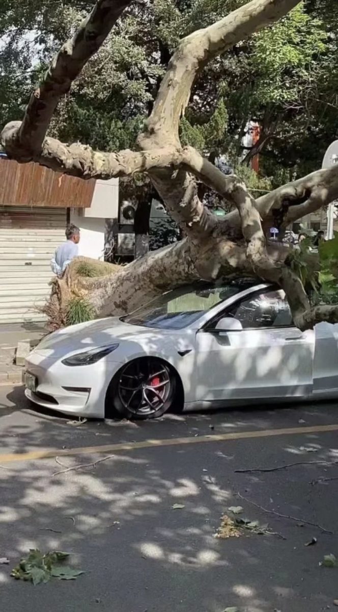 特斯拉 Tesla Model 3 