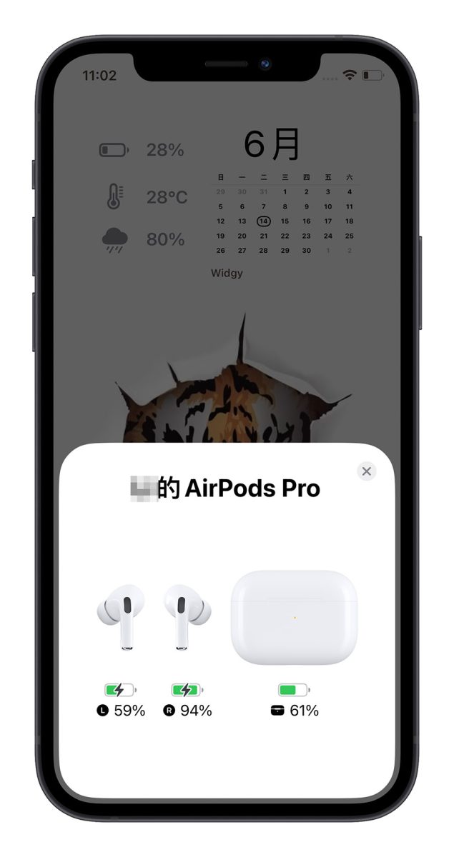 AirPods AirPods Pro 充電盒 電量查詢