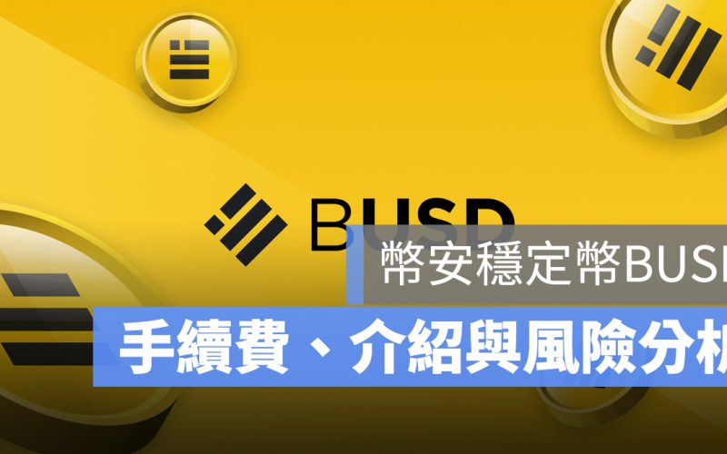 幣安 BUSD 合約 風險 手續費