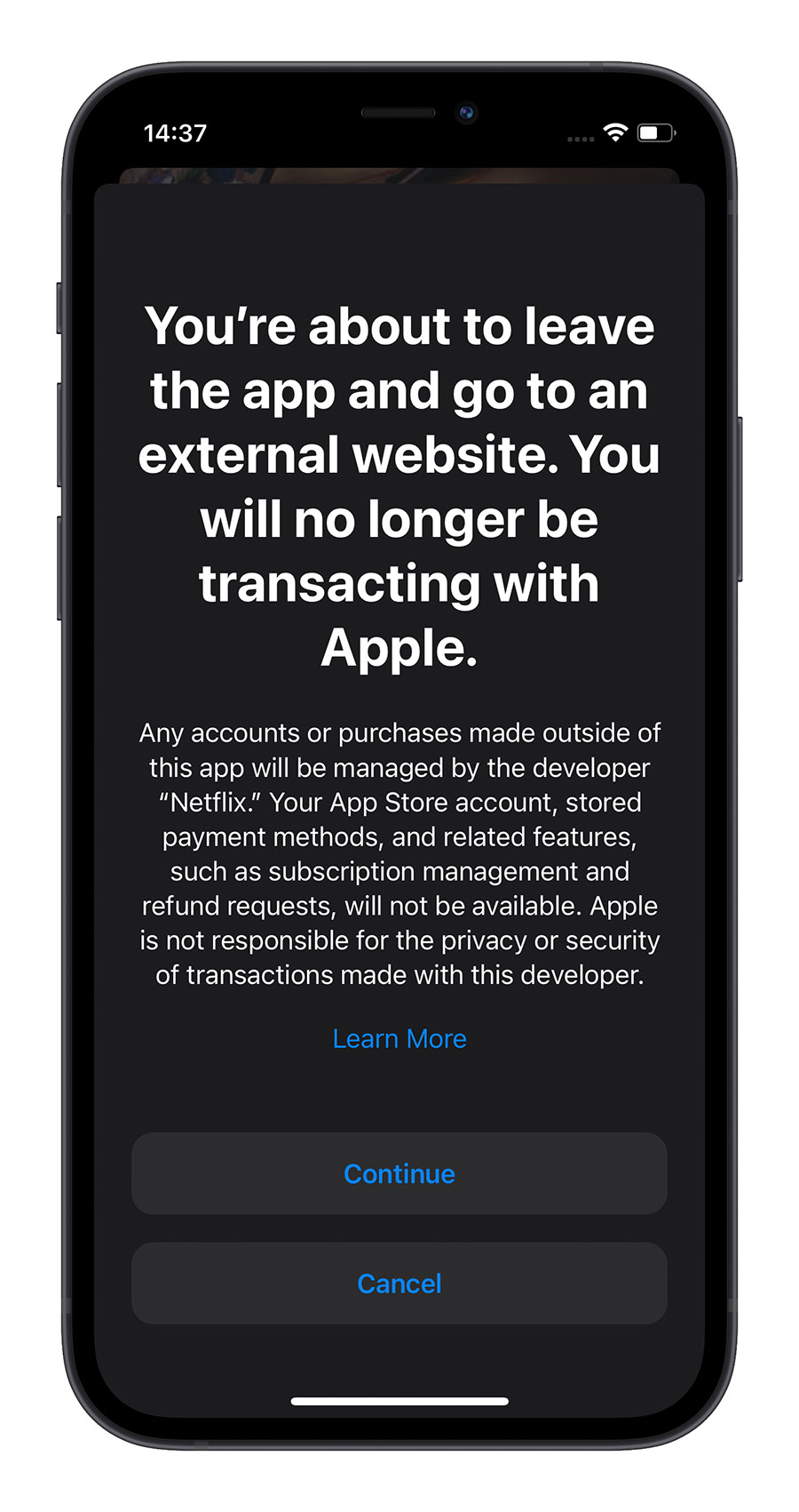 Netflix App Store Apple 第三方支付 訂閱