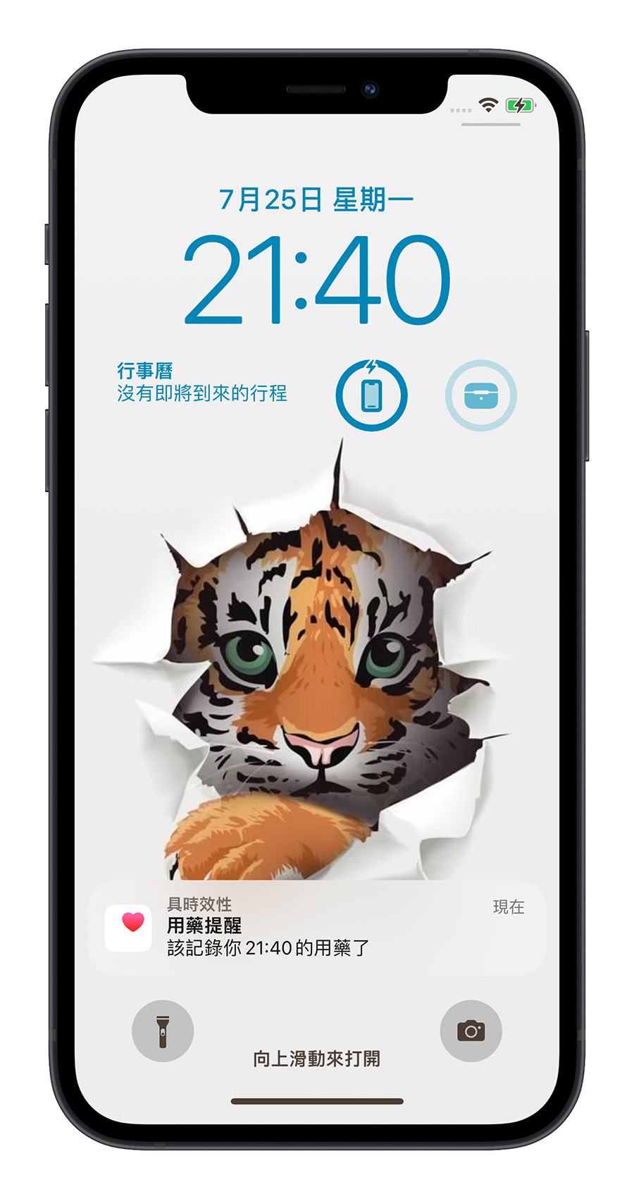 iPhone 用藥資訊 用藥提醒