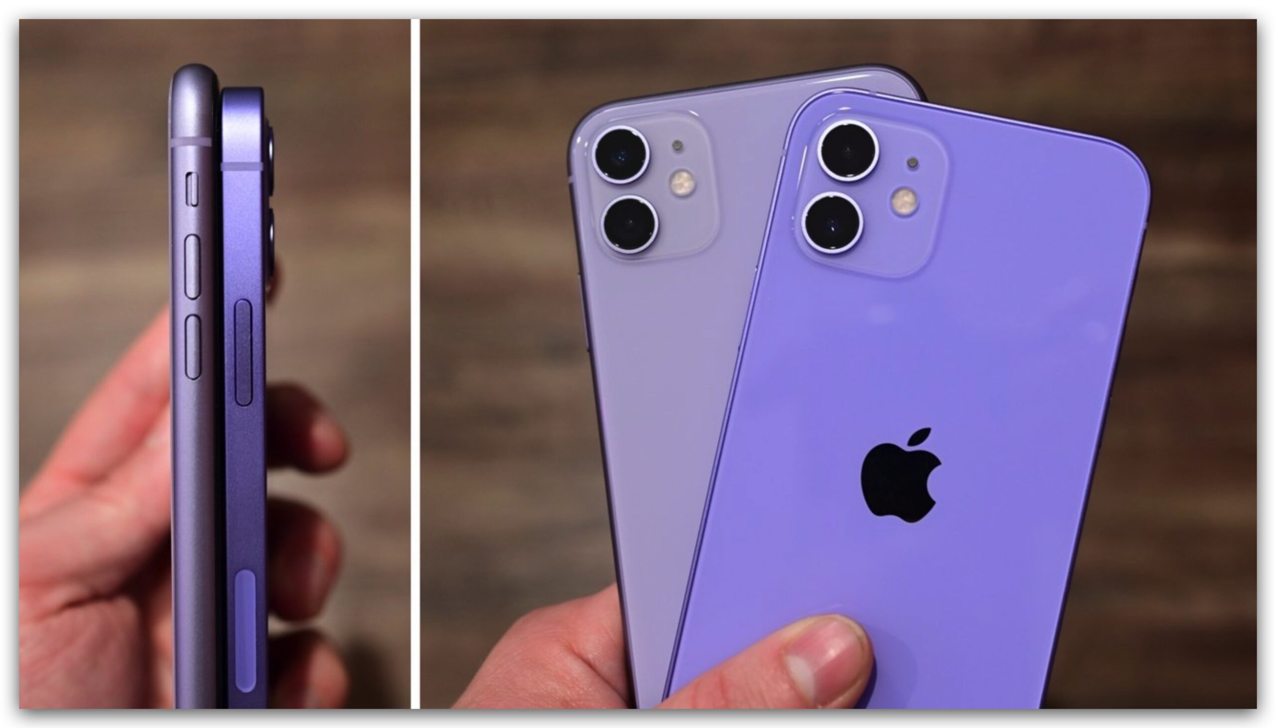 iPhone 14 紫色 顏色