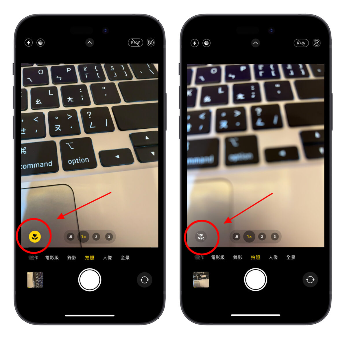 iPhone 14 Pro 微距攝影 殘影 相機閃一下