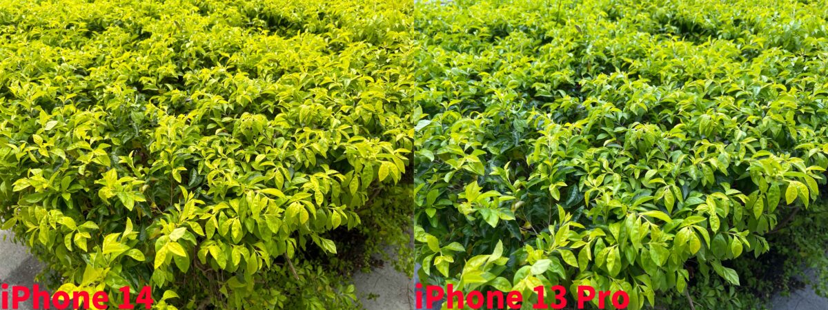 iPhone 14 iPhone 13 Pro iPhone 光像引擎 拍照