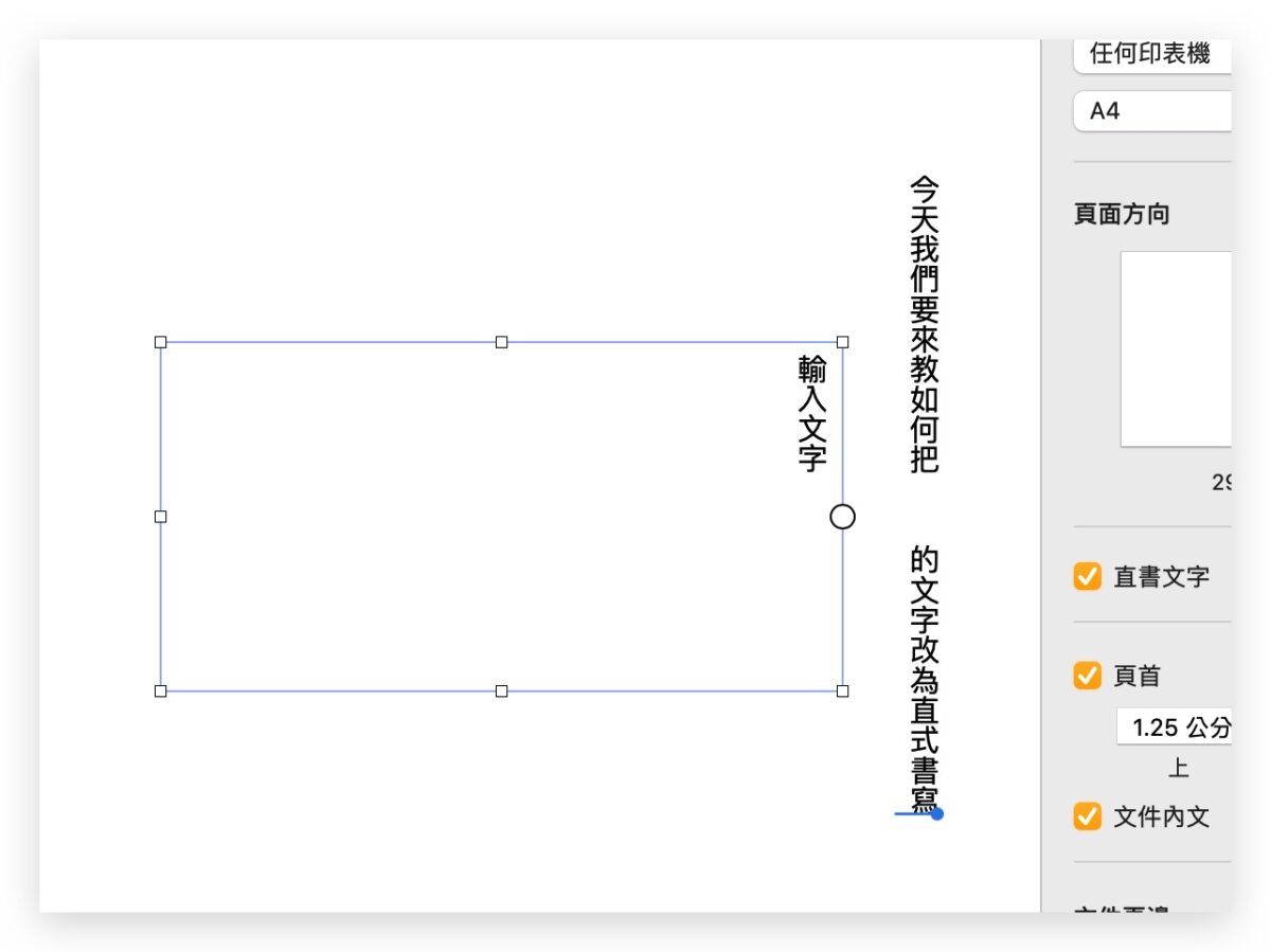 Pages 文字 直式 數字 橫式 水平 旋轉文字