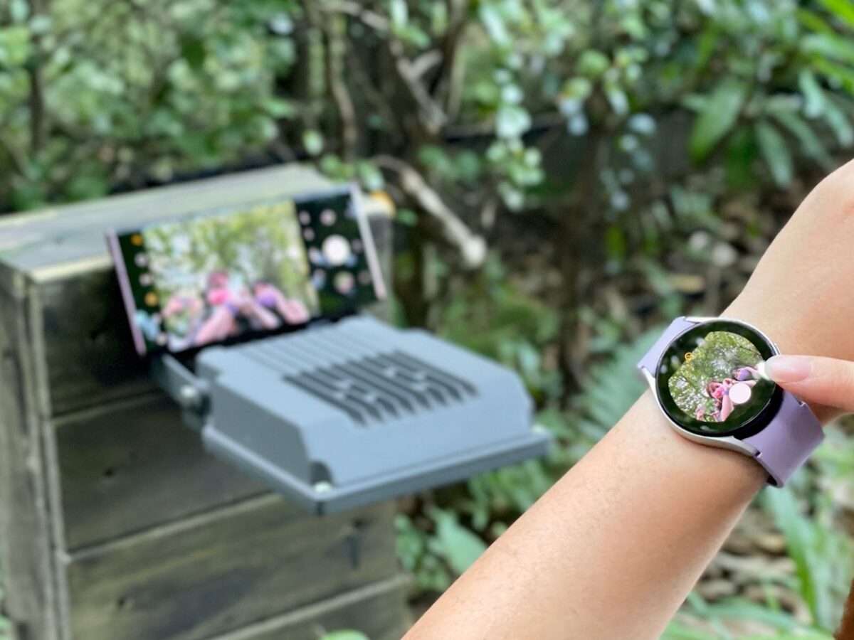 三星 Galaxy Watch Android  iPhone 換機
