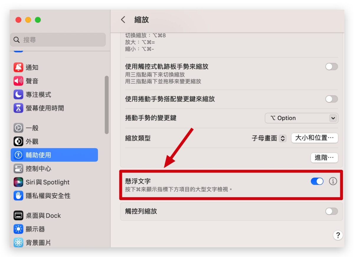 Mac 放大鏡