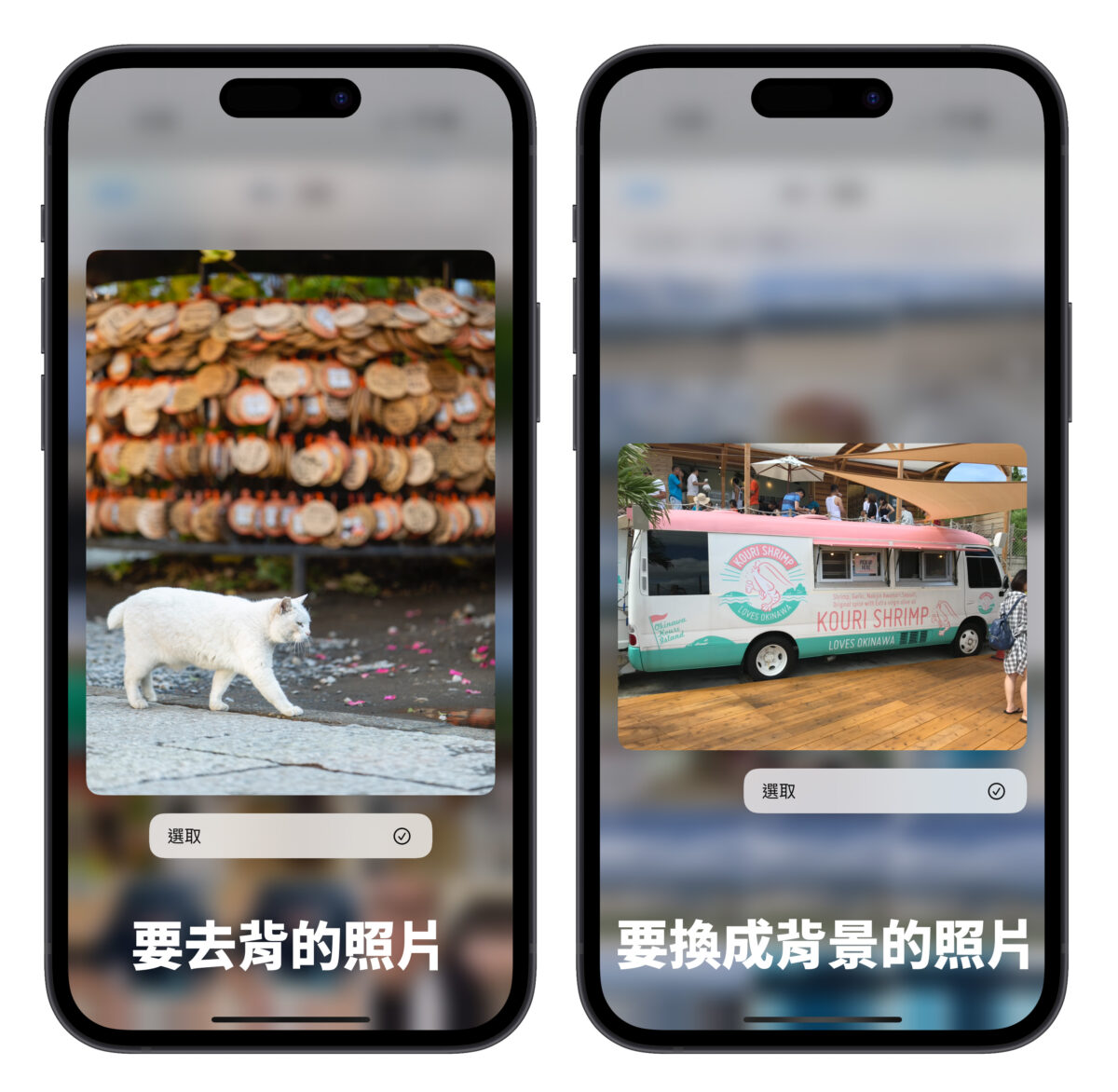 iPhone iOS 捷徑 照片去背 iOS 16 照片去背捷徑 換背景