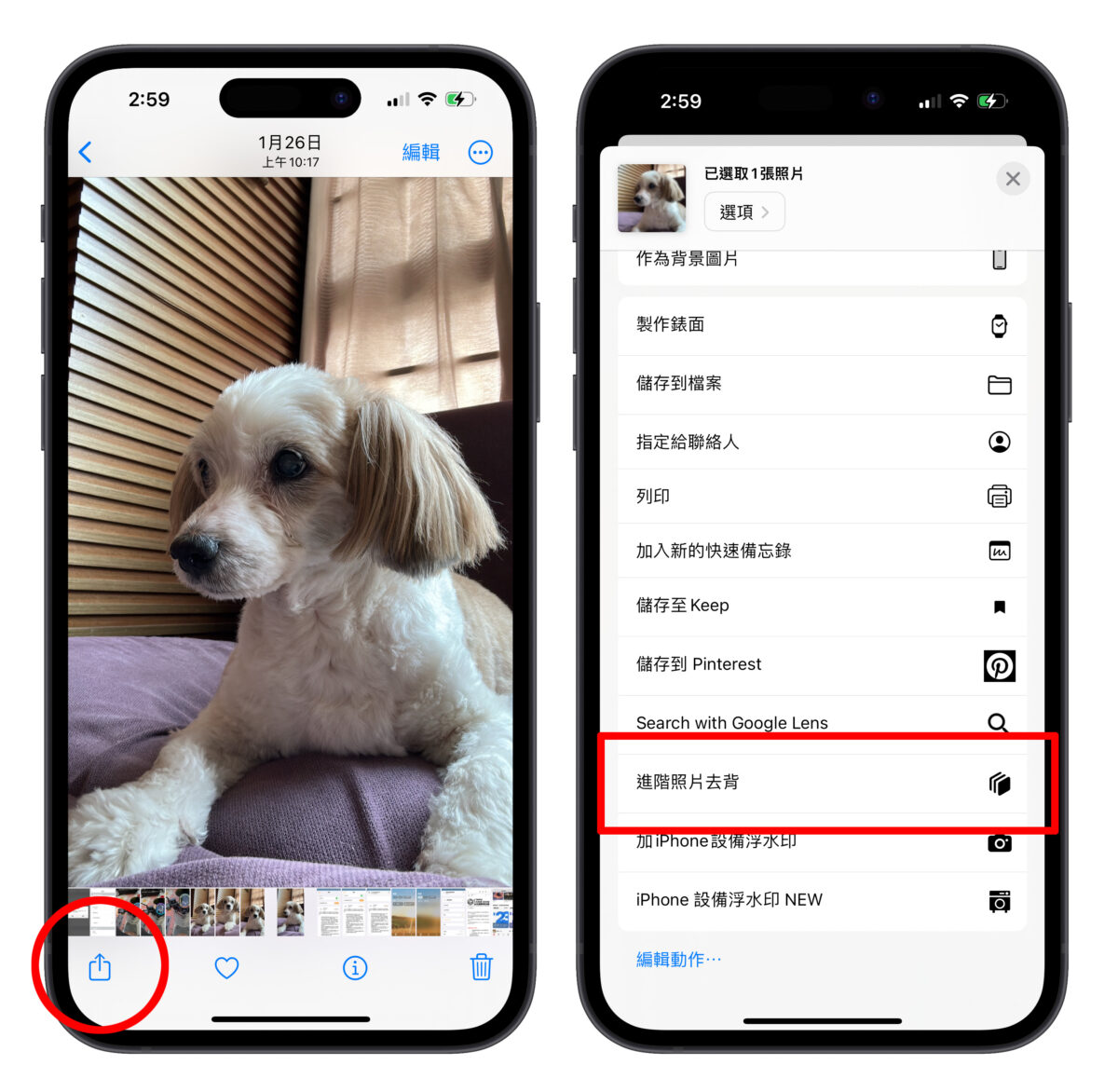 iPhone iOS 捷徑 照片去背 iOS 16 照片去背捷徑 換背景