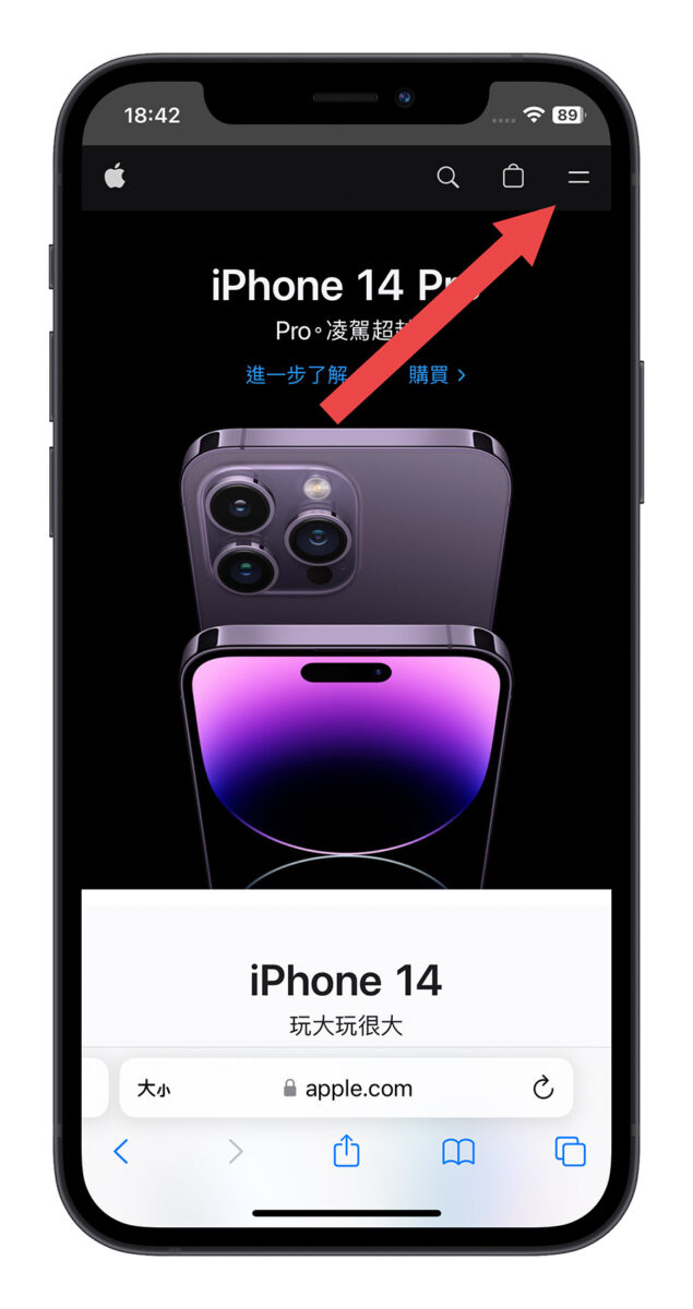 Apple 官網