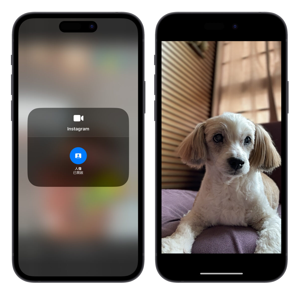 iOS iPhone 視訊效果 人像模式 人像 拍照