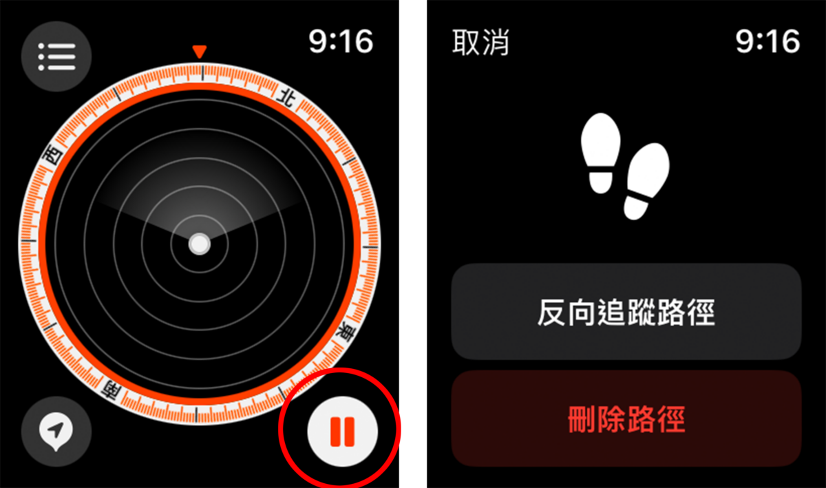 Apple Watch watchOS 9 回溯