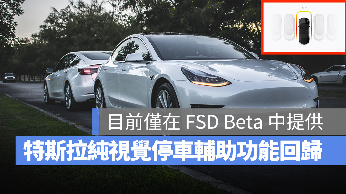 特斯拉 Tesla Tesla Vision 純視覺 停車輔助