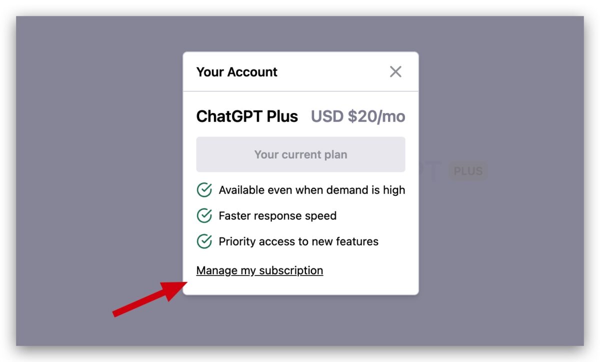 OpenAI ChatGPT ChatGPT Plus 資安