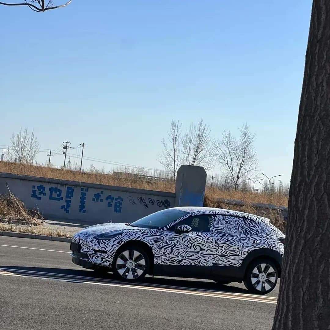 特斯拉 Tesla 平價電動車