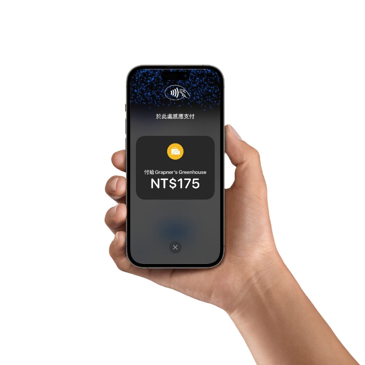 iPhone iOS Tap to Pay Tap to Pay on iPhone iPhone 卡緊收 Apple Pay