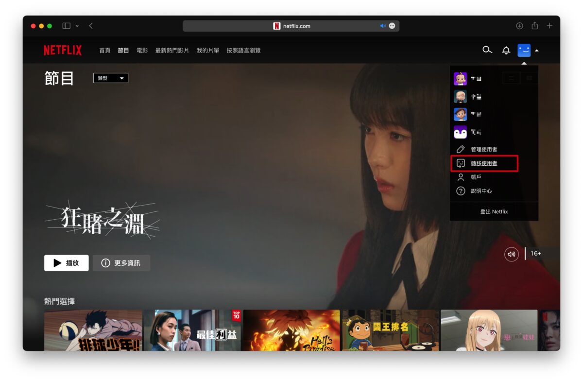 Netflix 家庭共享 共享帳號