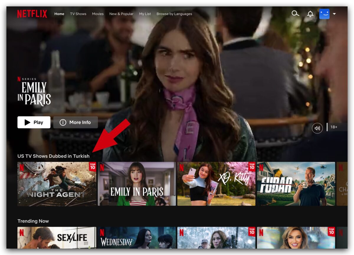 Netflix 土耳其 訂閱 教學 便宜