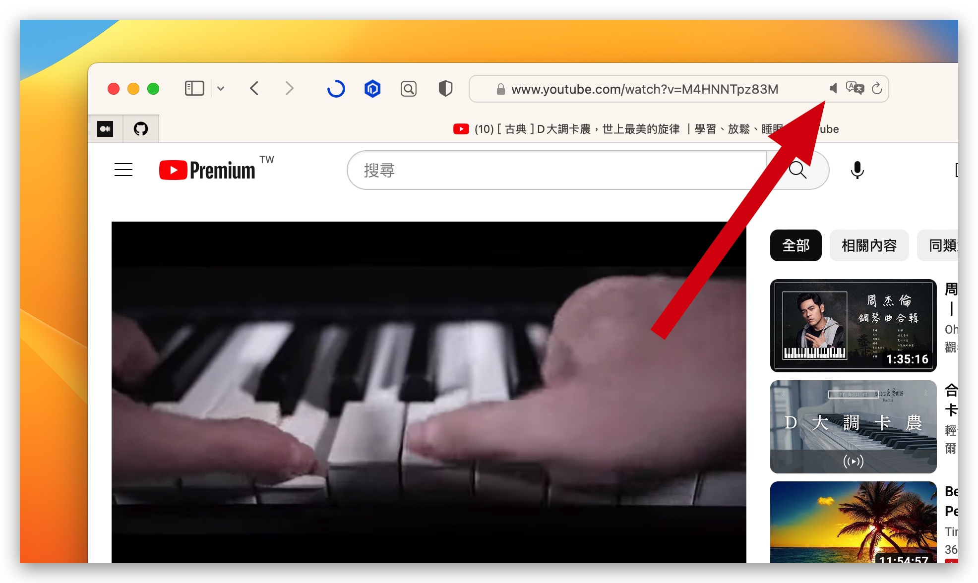 Mac Safari 分頁 靜音